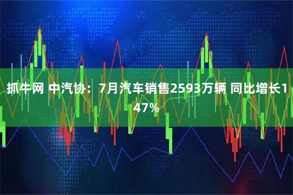 抓牛网 中汽协：7月汽车销售2593万辆 同比增长147%
