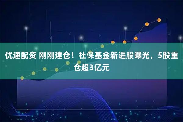 优速配资 刚刚建仓！社保基金新进股曝光，5股重仓超3亿元