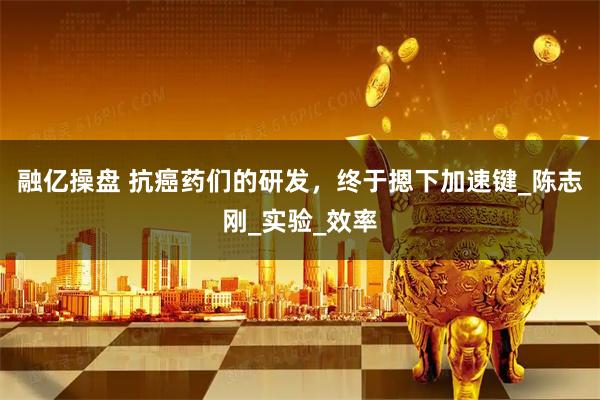 融亿操盘 抗癌药们的研发，终于摁下加速键_陈志刚_实验_效率