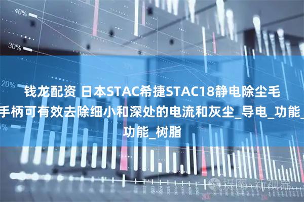 钱龙配资 日本STAC希捷STAC18静电除尘毛刷长手柄可有效去除细小和深处的电流和灰尘_导电_功能_树脂