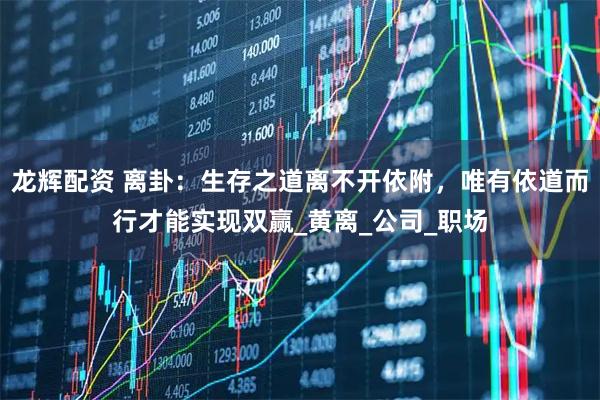 龙辉配资 离卦：生存之道离不开依附，唯有依道而行才能实现双赢_黄离_公司_职场