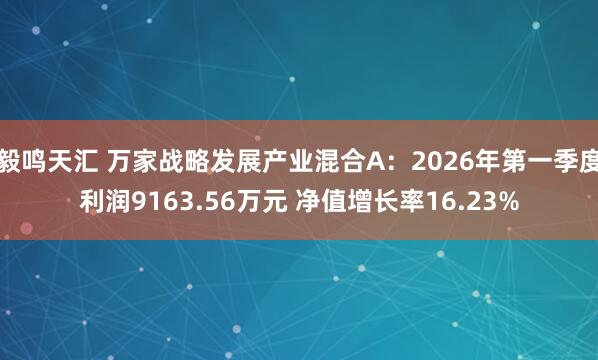 毅鸣天汇 万家战略发展产业混合A：2026年第一季度利润9163.56万元 净值增长率16.23%